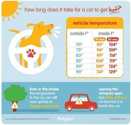 Hot Car Graphic
