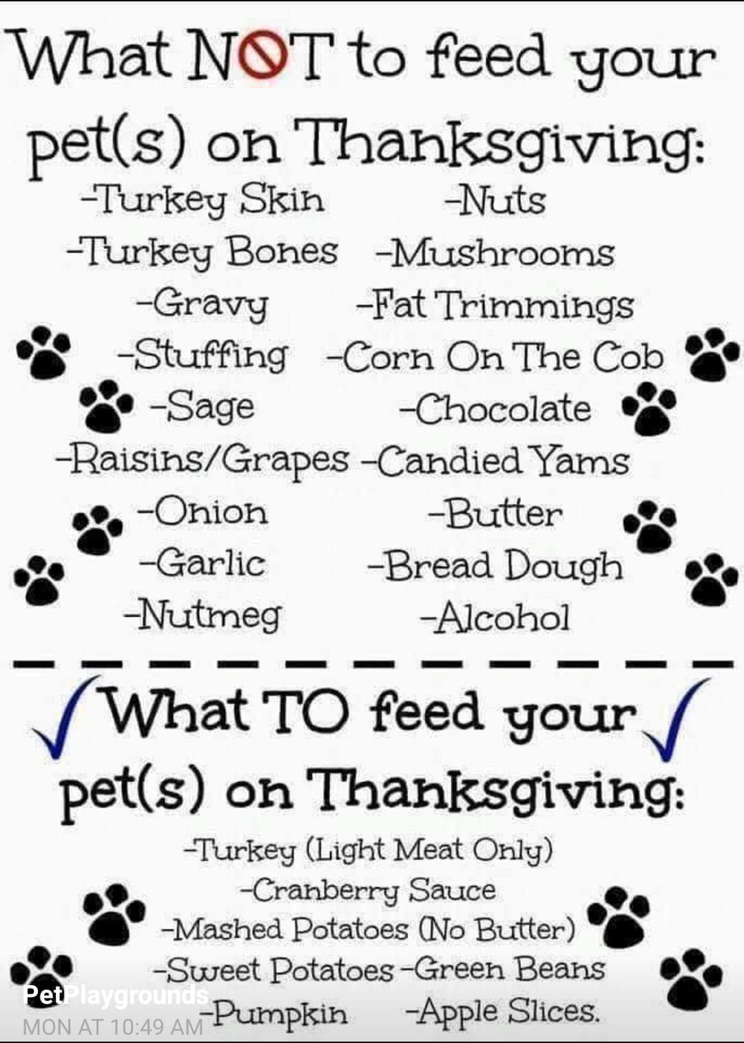 FB_IMG_1605745941526